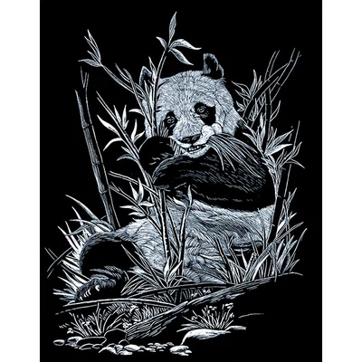 Karckép gravírozó készlet karctűvel, 20x25 cm - Panda, ezüst