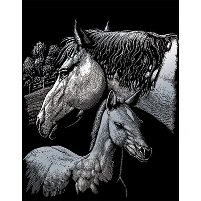 Karckép gravírozó készlet karctűvel, 20x25 cm - Lovak, ezüst