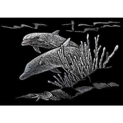 Karckép gravírozó készlet karctűvel, 12x18 cm - Delfinek, ezüst