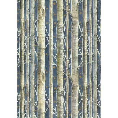 Tassotti decoupage papír - nyírfák éjfélkor