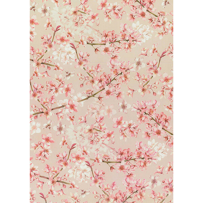 Tassotti decoupage papír - cseresznyevirágok
