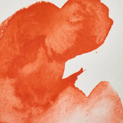 Winsor&amp;Newton Professional akvarellfesték, 1/2 szilkés - 418, Field's orange