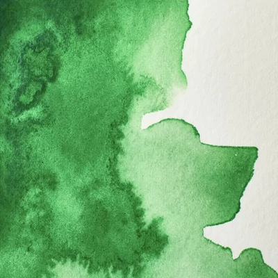 Winsor&amp;Newton Professional akvarellfesték, 1/2 szilkés - 420, cinnabar green