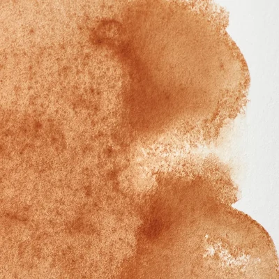 Winsor&amp;Newton Professional akvarellfesték, 1/2 szilkés - 059, brown ochre