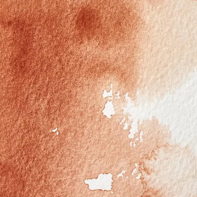 Winsor&amp;Newton Professional akvarellfesték, 1/2 szilkés - 074, burnt sienna