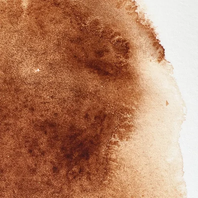 Winsor&amp;Newton Professional akvarellfesték, 1/2 szilkés - 076, burnt umber