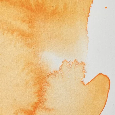 Winsor&amp;Newton Professional akvarellfesték, 1/2 szilkés - 089, cadmium orange