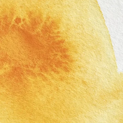 Winsor&amp;Newton Professional akvarellfesték, 1/2 szilkés - 111, cadmium yellow deep