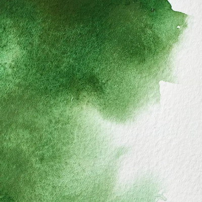 Winsor&amp;Newton Professional akvarellfesték, 1/2 szilkés - 311, Hooker's green