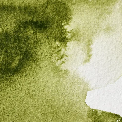 Winsor&amp;Newton Professional akvarellfesték, 1/2 szilkés - 447, olive green
