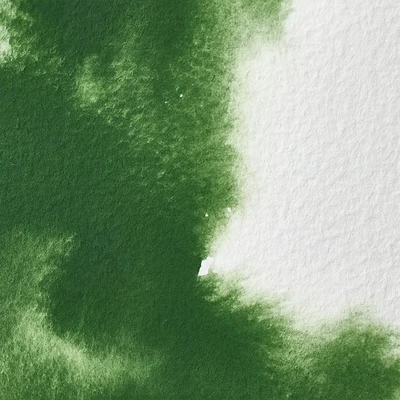 Winsor&amp;Newton Professional akvarellfesték, 1/2 szilkés - 459, oxide chromium