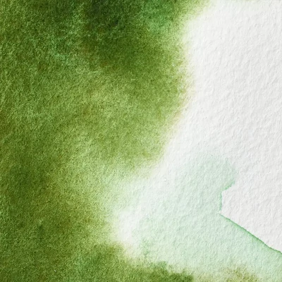 Winsor&amp;Newton Professional akvarellfesték, 1/2 szilkés - 503, permanent sap green