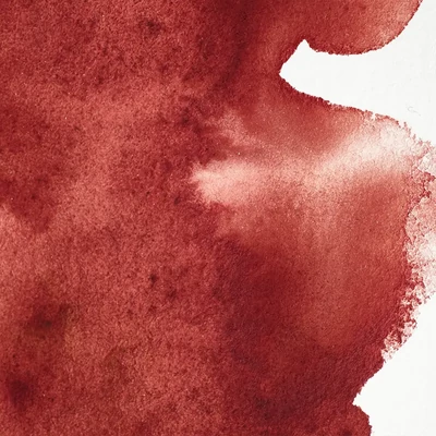 Winsor&amp;Newton Professional akvarellfesték, 1/2 szilkés - 507, perylene maroon