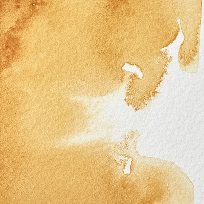 Winsor&amp;Newton Professional akvarellfesték, 1/2 szilkés - 552, raw sienna
