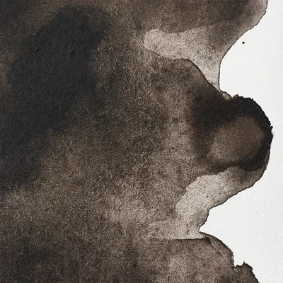Winsor&amp;Newton Professional akvarellfesték, 1/2 szilkés - 609, sepia