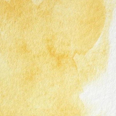 Winsor&amp;Newton Professional akvarellfesték, 1/2 szilkés - 649, Turner's yellow