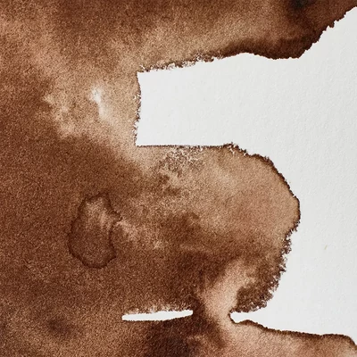 Winsor&amp;Newton Professional akvarellfesték, 1/2 szilkés - 676, Vandyke brown