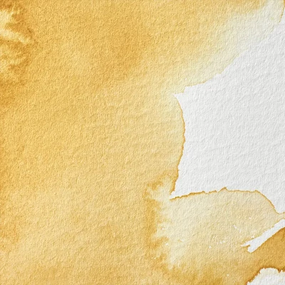 Winsor&amp;Newton Professional akvarellfesték, 1/2 szilkés - 745, yellow ochre light