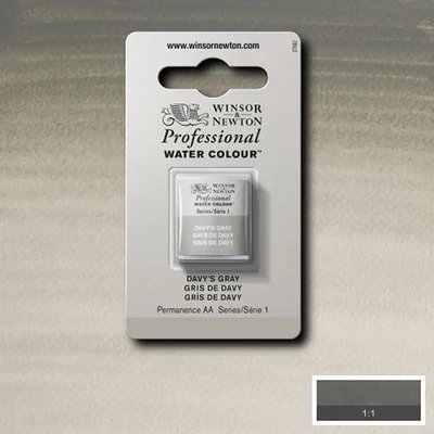 Winsor&amp;Newton Professional akvarellfesték, 1/2 szilkés - 217, Davy's gray