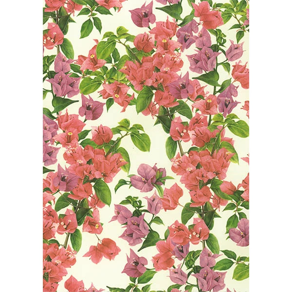 Tassotti decoupage papír - murvafürt