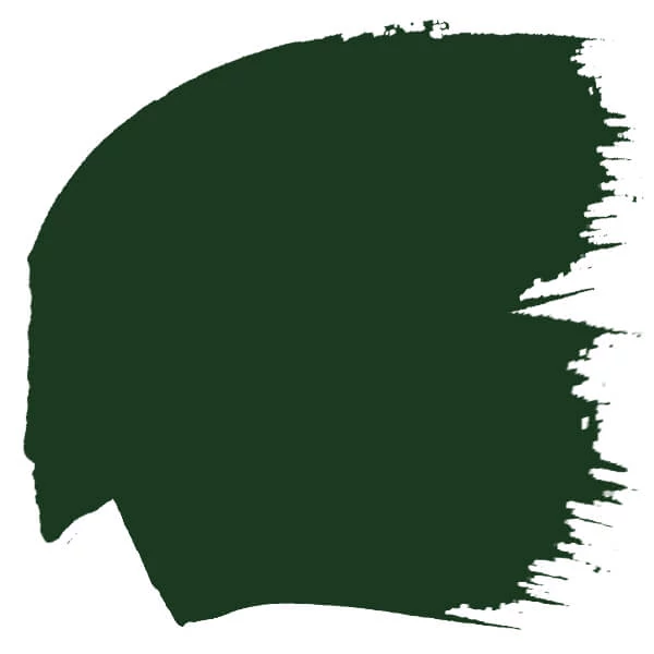 Deka Color Lack fényes akrilfesték 25 ml - 66 fenyőzöld