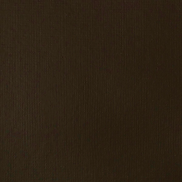 Liquitex Basics akrilfesték, 118 ml - 331, raw umber