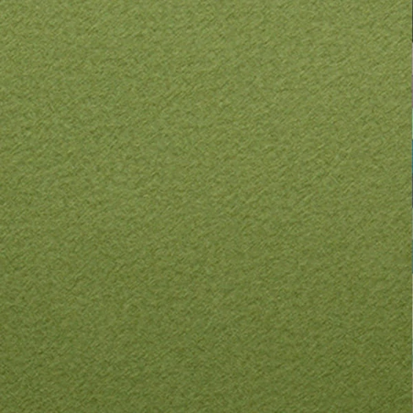 Fabriano Tiziano színes rajzpapír, 50x65 cm - 14, muschio