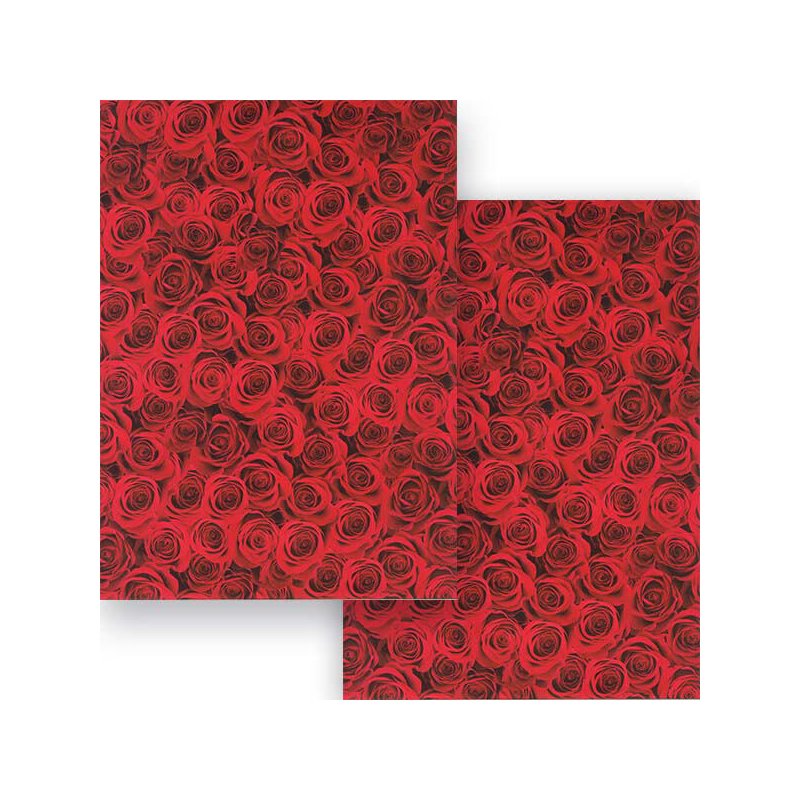 Fotókarton, 49,5x68 cm - vörös rózsák