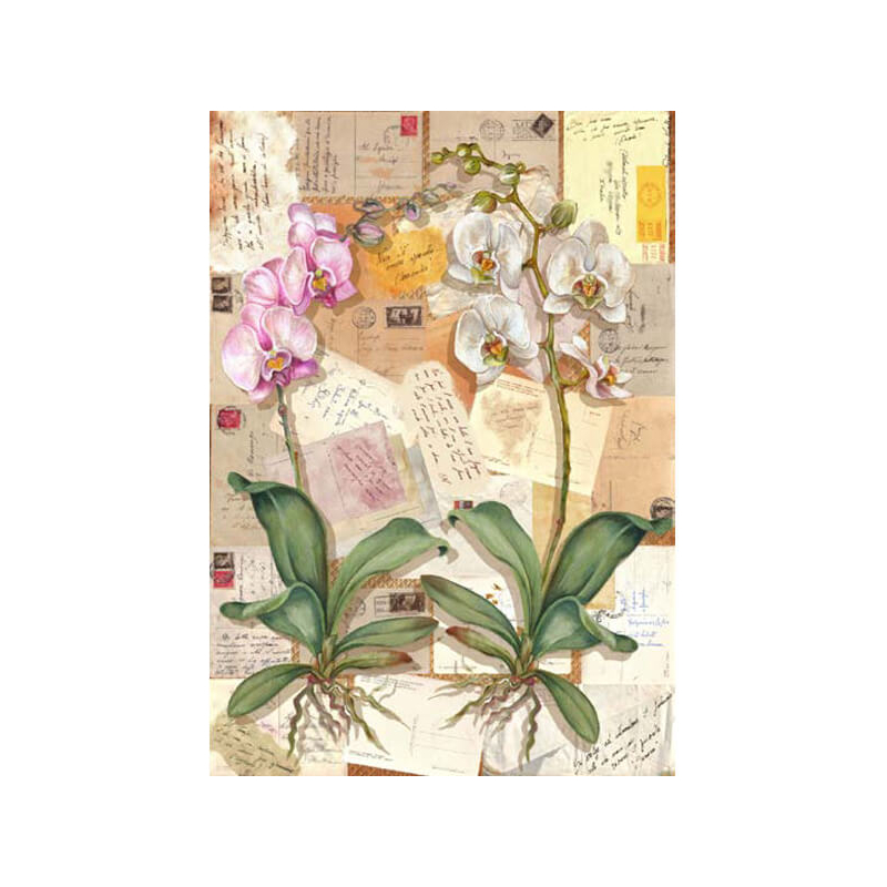 Esprimo decoupage papír - orchidea