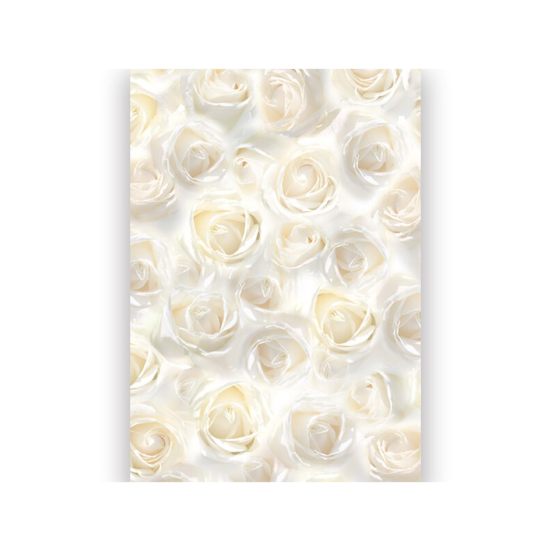 Transzparens papír, A4 - fehér rózsák