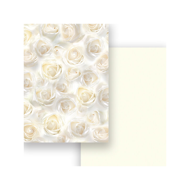 Fotókarton, A4 - fehér rózsa