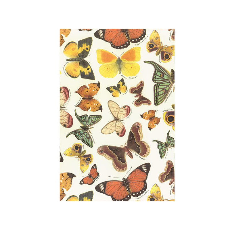 Tassotti decoupage papír - pillangók