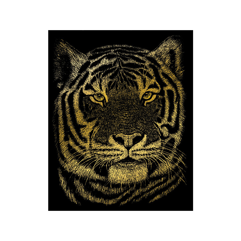 Karckép gravírozó készlet karctűvel, 20x25 cm - Bengáli tigris, arany