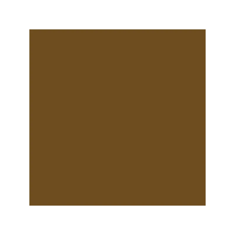 Talens Rembrandt olajfesték, 40 ml - 409, burnt umber