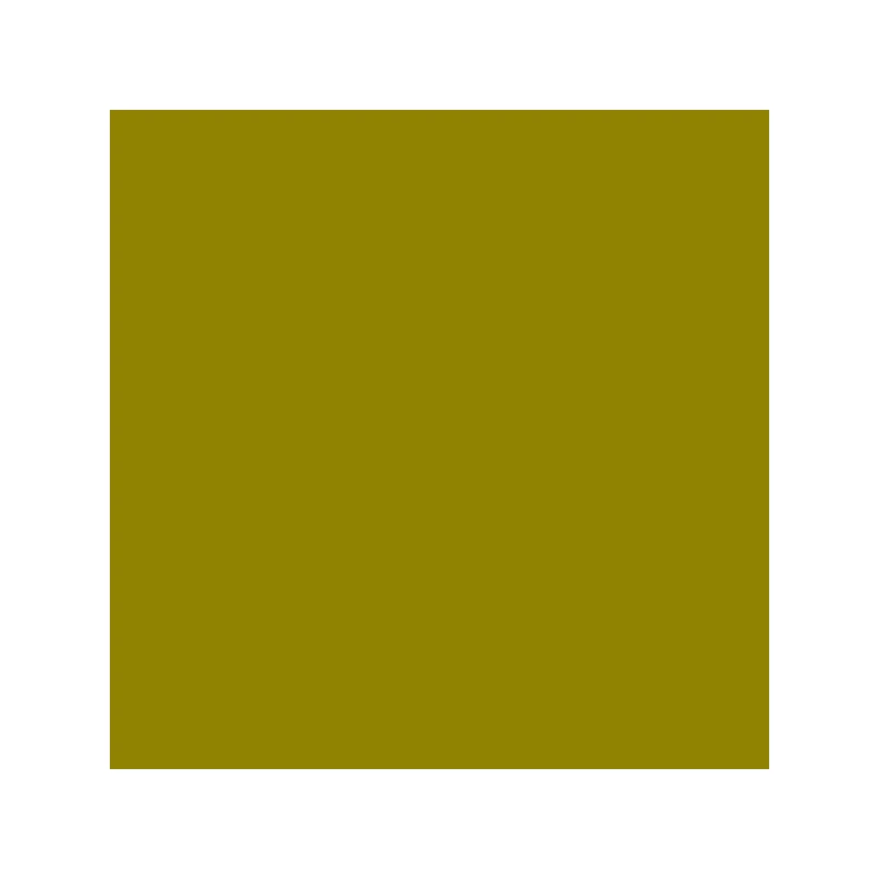 Talens Rembrandt olajfesték, 40 ml - 620, olive green