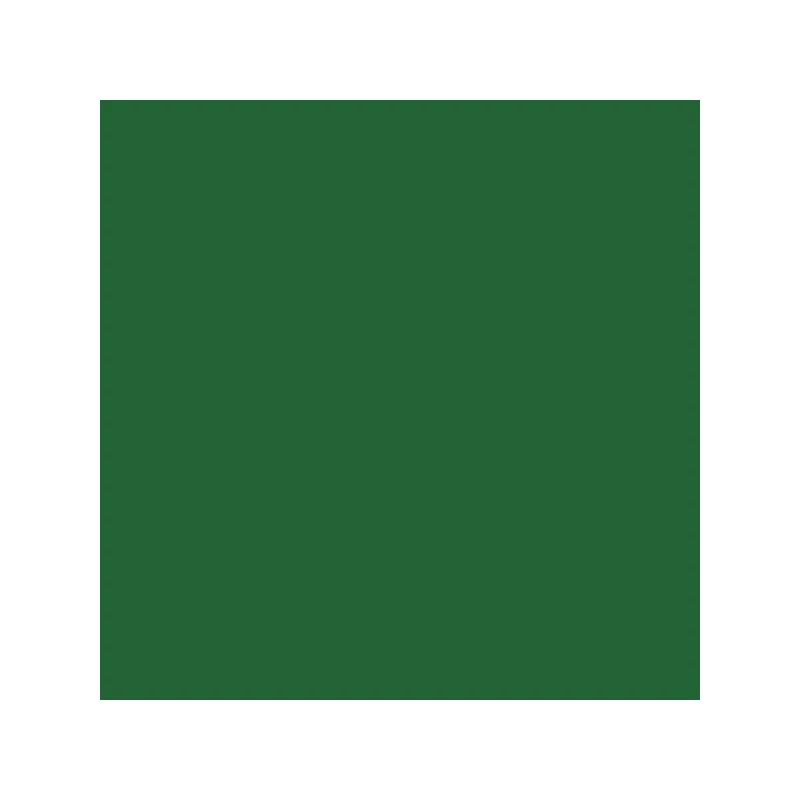 Talens Rembrandt olajfesték, 40 ml - 668, chromium oxide green