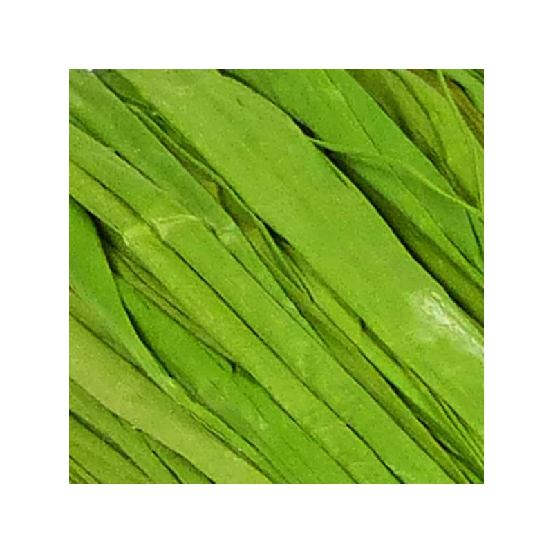 Raffia, 50 g - világoszöld