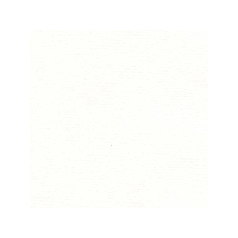 Hahnemühle Ingres papír, 100 g, 48x62,5 cm - 250 bright white