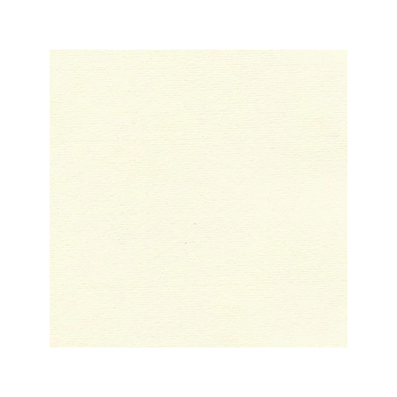 Hahnemühle Ingres papír, 100 g, 48x62,5 cm - 252 ivory