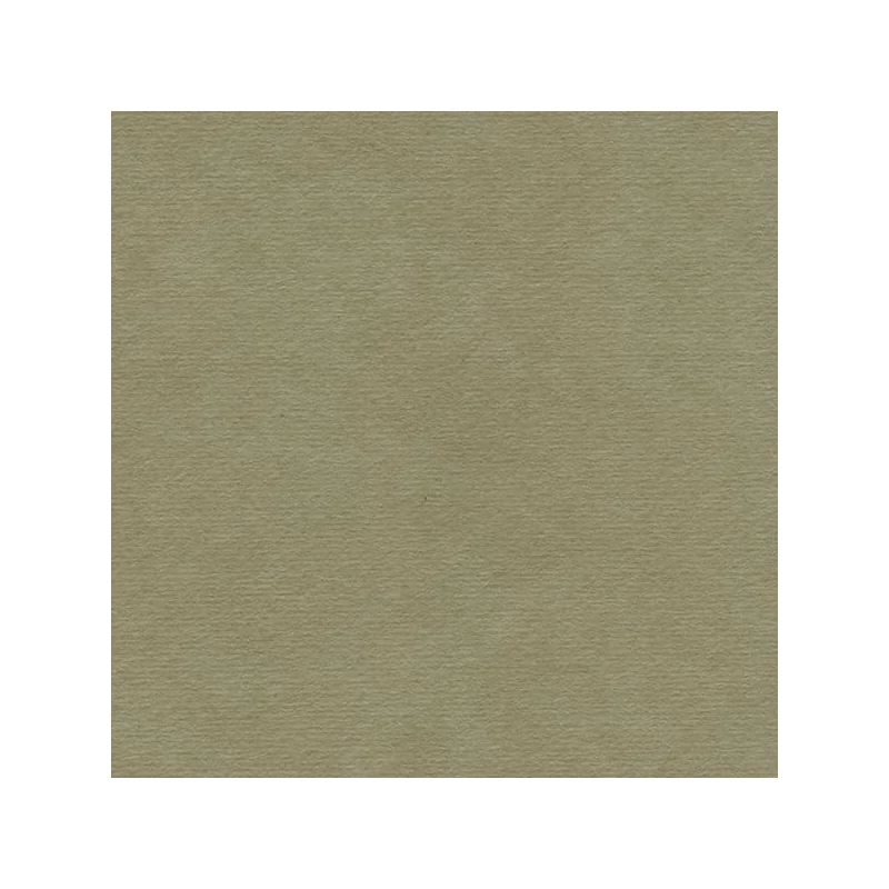 Hahnemühle Ingres papír, 100 g, 48x62,5 cm - 257 mouse grey