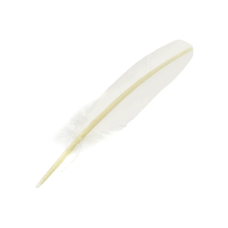J. Herbin, lúdtoll penna tintához, 21 cm - fehér
