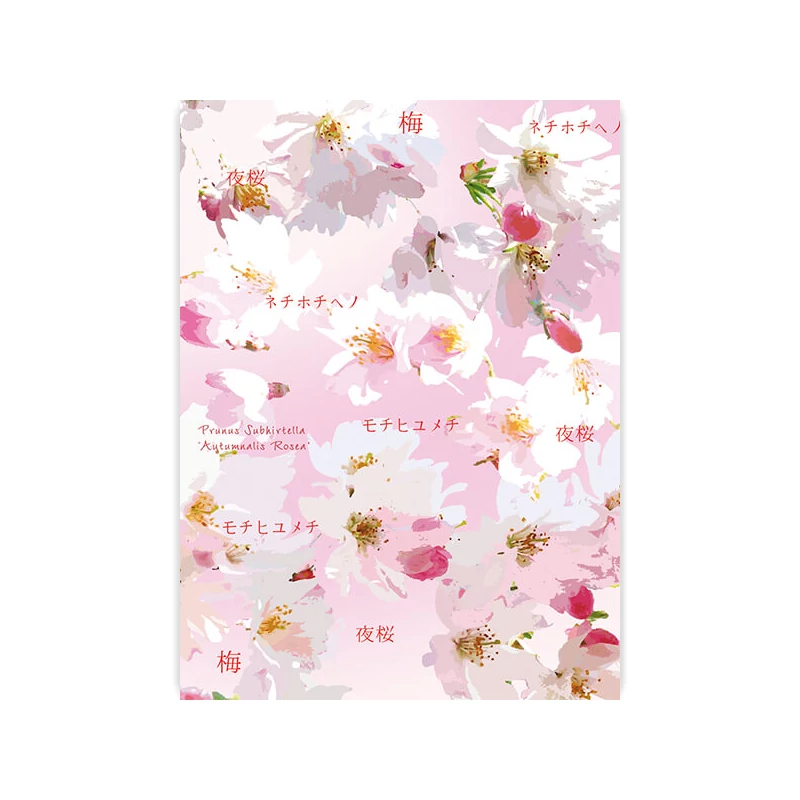 Transzparens papír, A4 - Hanami