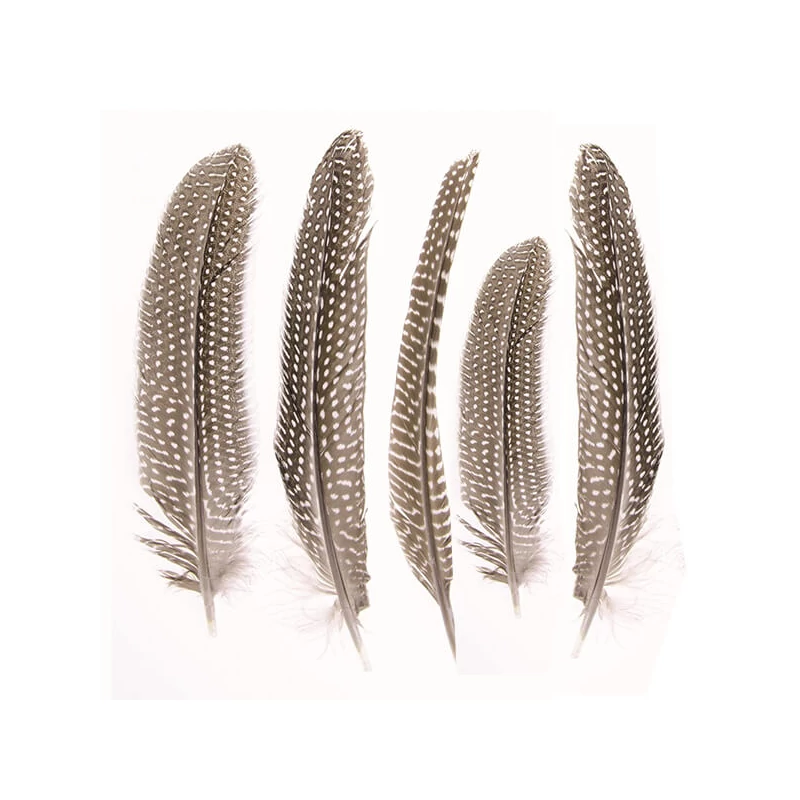 Gyöngytyúk toll, 16-19 cm, 5 db - natúr