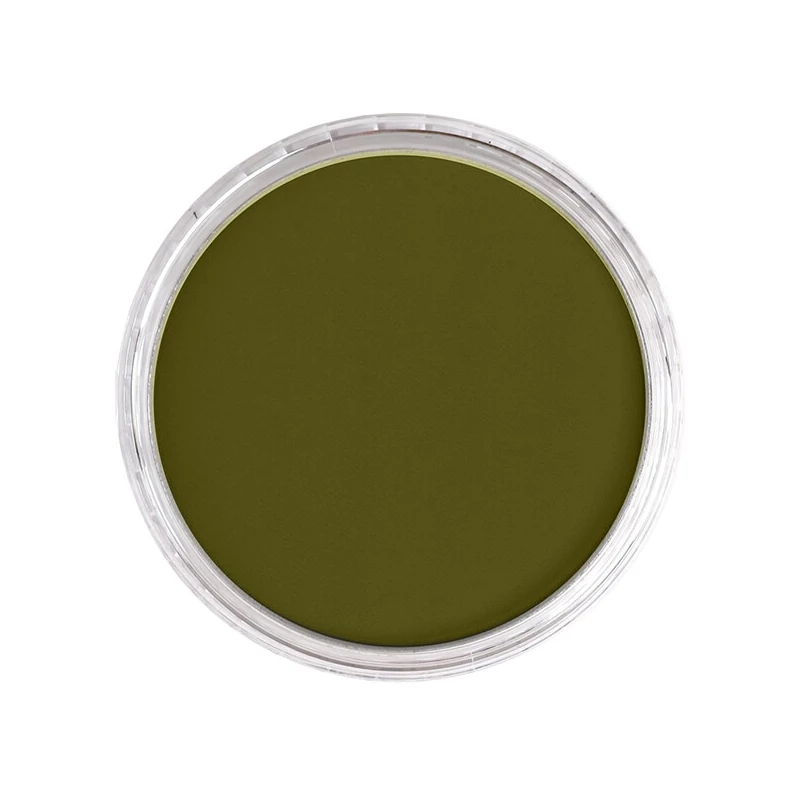PanPastel tégelyes porpasztell - 680.1, bright yellow green extra dark