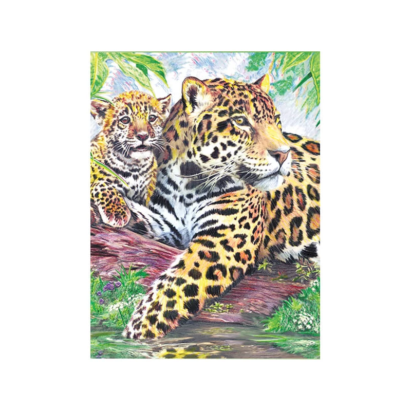 Számozott színező készlet, színesceruzák+hegyező, 22x30 cm - Jaguár