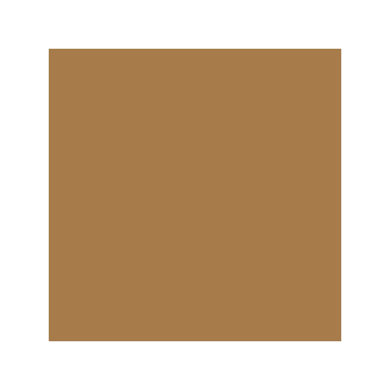 Akrilfesték spray, EVOLUTION fényes, 400 ml - RAL8001 ochre brown