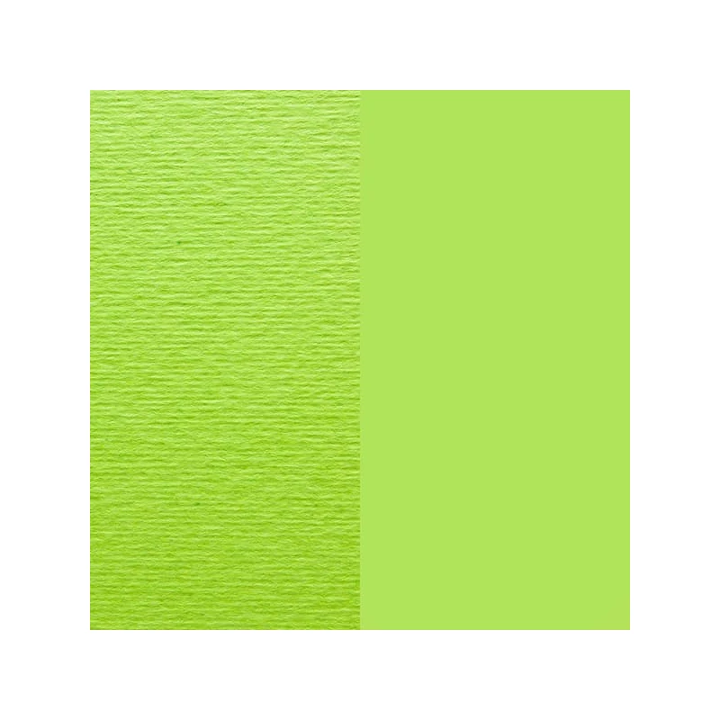 Fabriano Elle Erre színes művészkarton, 70x100 cm - 10, verde pisello