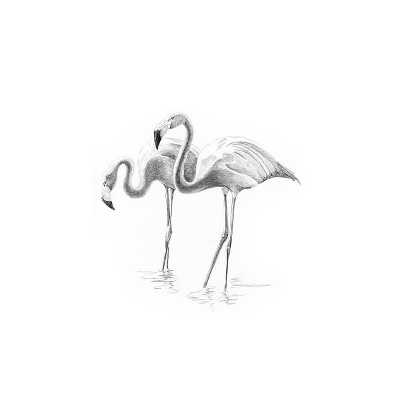 Skiccrajz mini grafikai rajzkészlet eszközökkel, 12x18 cm - Flamingók