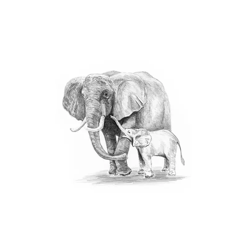 Skiccrajz mini grafikai rajzkészlet eszközökkel, 12x18 cm - Elefántok