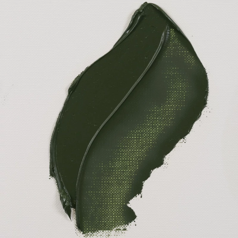 Talens Van Gogh olajfesték, 40 ml - 629, green earth
